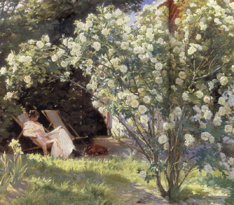 Peder Severin Kroyer Rose Garden china oil painting image